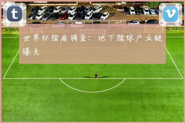 世界杯赌局调查:地下赌球产业链曝光
