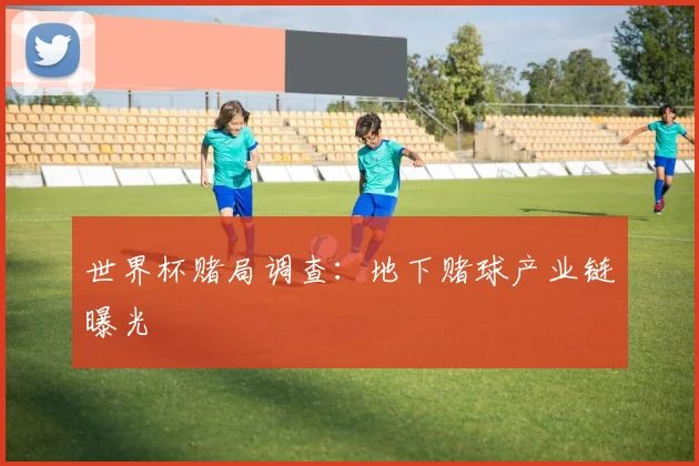 世界杯赌局调查：地下赌球产业链曝光
