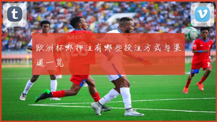 欧洲杯哪押注有哪些投注方式与渠道一览