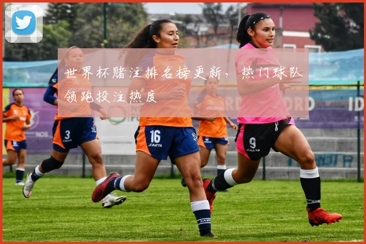 世界杯赌注排名榜更新,热门球队领跑投注热度