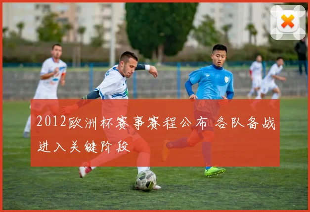 2012欧洲杯赛事赛程公布 各队备战进入关键阶段