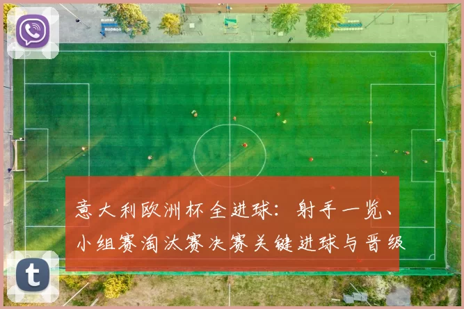意大利欧洲杯全进球:射手一览、小组赛淘汰赛决赛关键进球与晋级影响解析