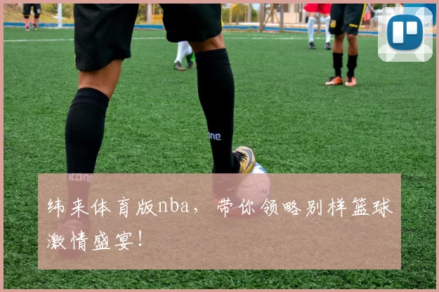 纬来体育版nba，带你领略别样篮球激情盛宴！
