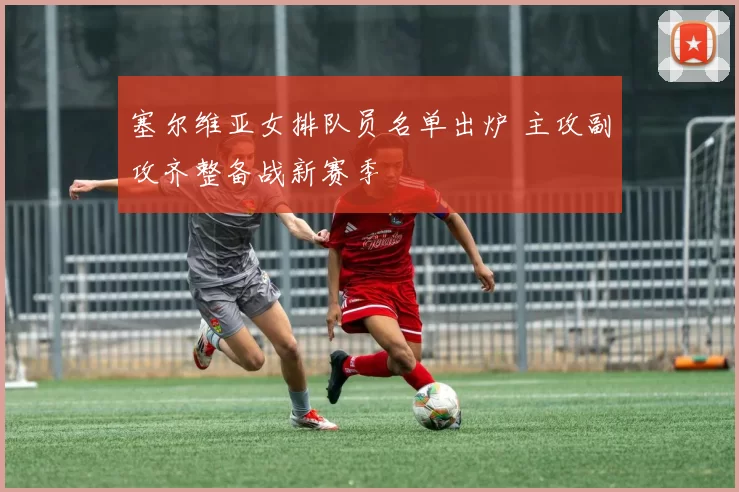 塞尔维亚女排队员名单出炉 主攻副攻齐整备战新赛季