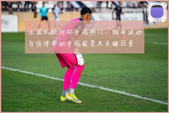 法国队欧洲杯夺冠热门，赔率波动与伤停牵动夺冠前景及关键因素