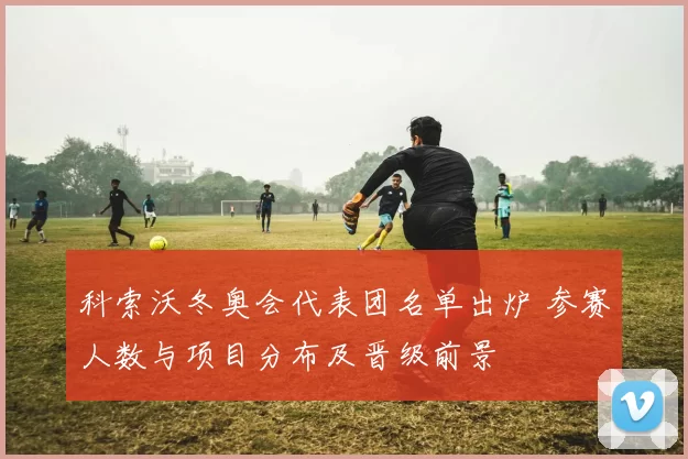 科索沃冬奥会代表团名单出炉 参赛人数与项目分布及晋级前景