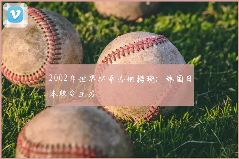 2002年世界杯举办地揭晓:韩国日本联合主办