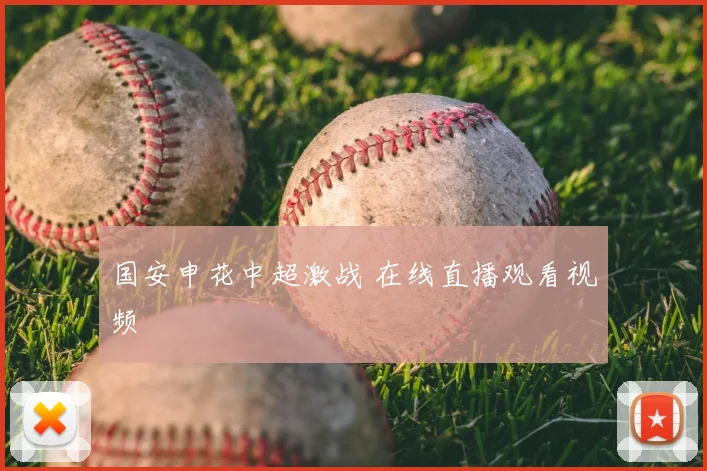 国安申花中超激战 在线直播观看视频